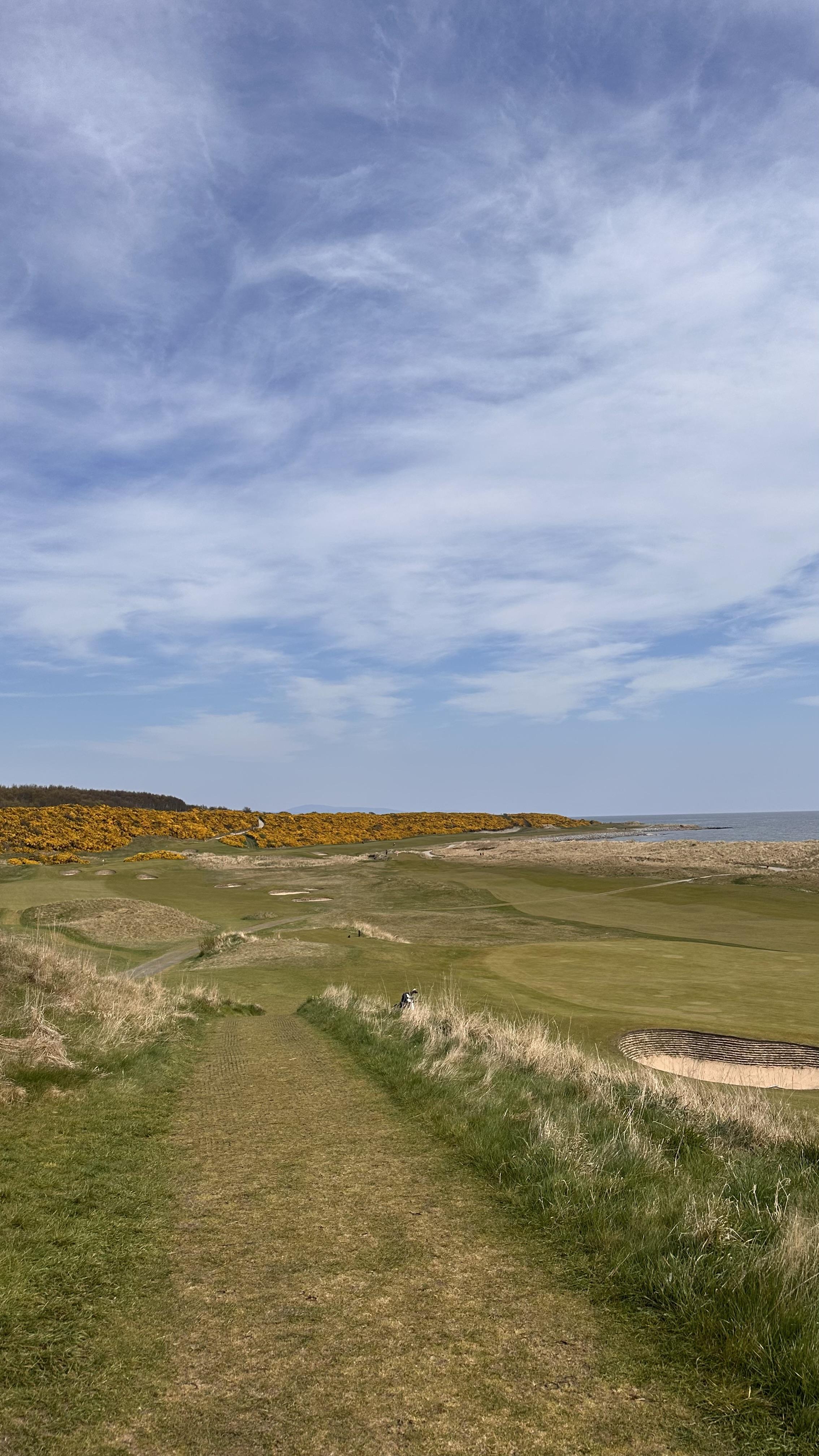 Royal Dornoch (Championship)