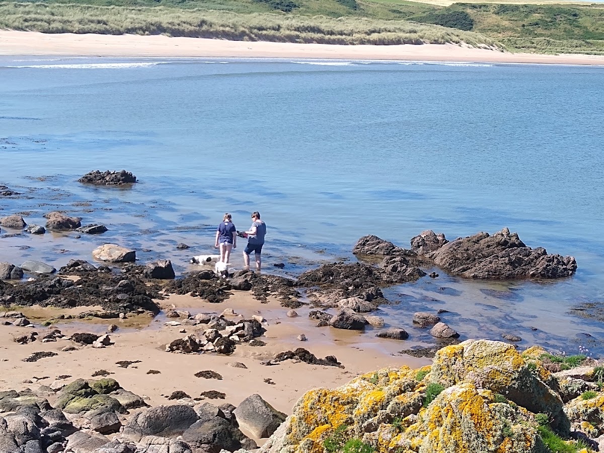 Cruden Bay (Championship) golf course photograph 5