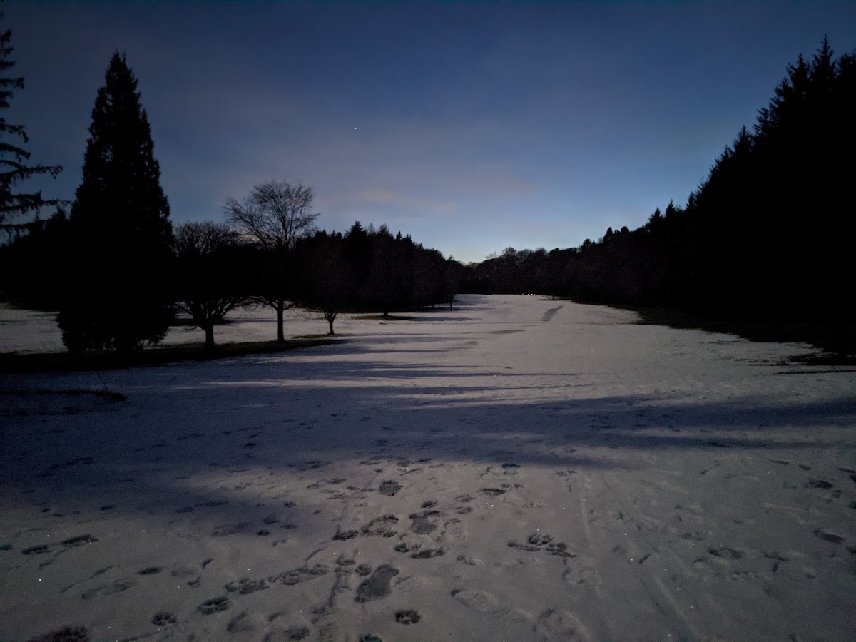 Downfield Golf Club golf course photograph 4