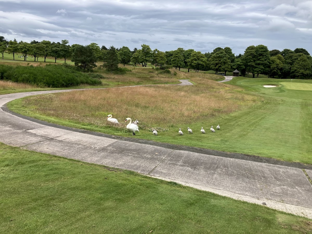 Gleneagles (PGA Centenary) golf course photograph 4