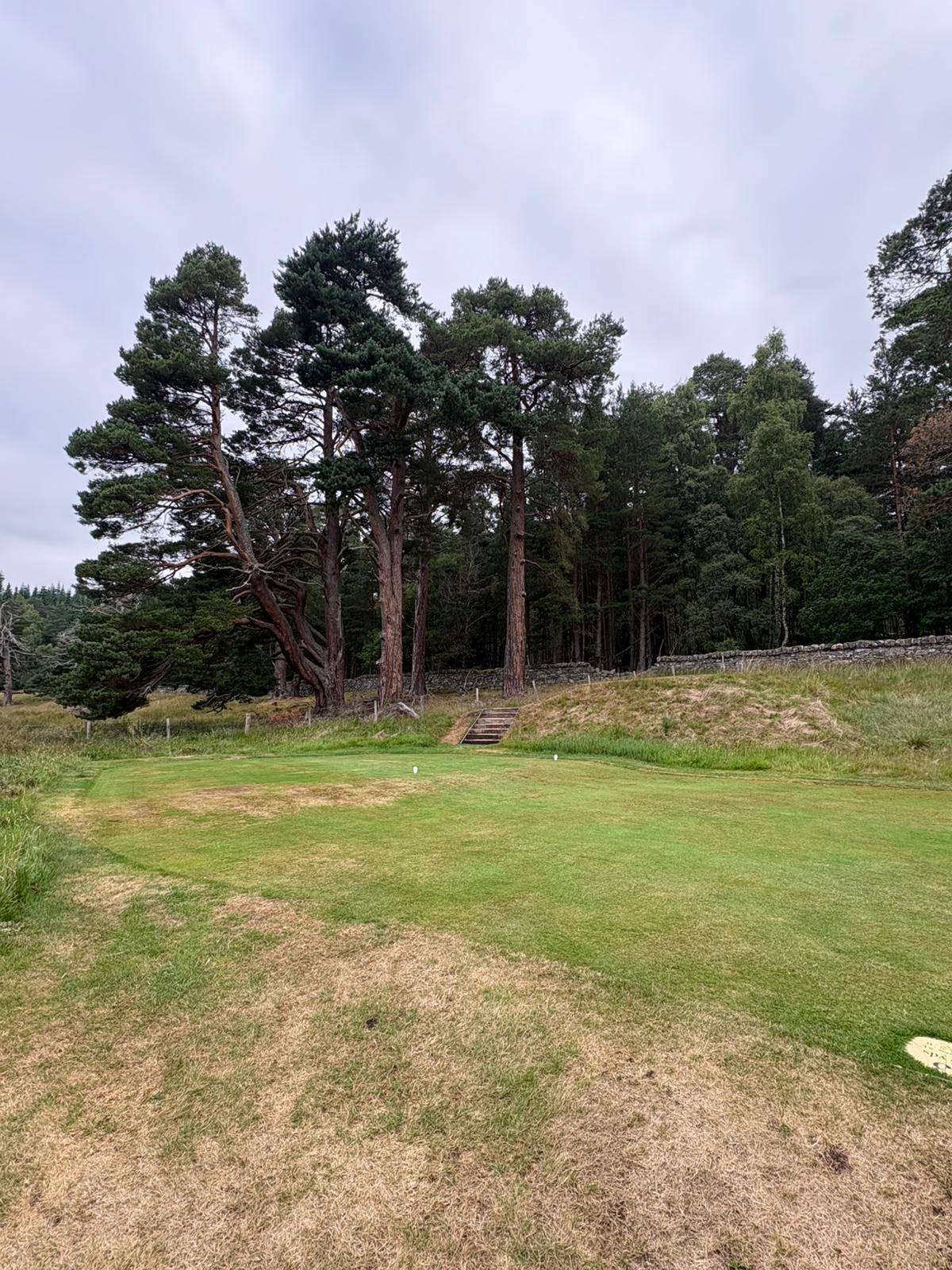 Grantown-on-Spey Golf Club golf course photograph 4