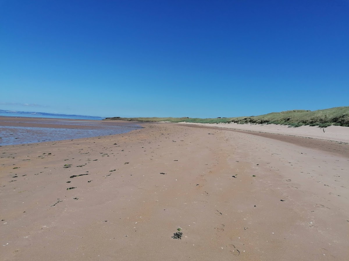 Gullane No. 2 golf course photograph 5
