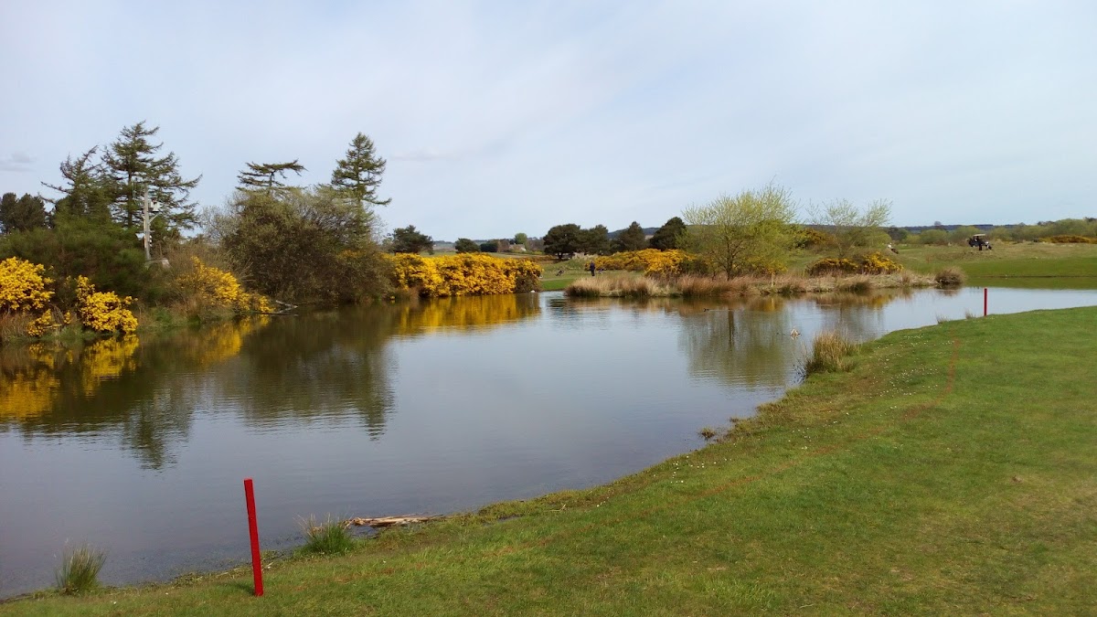 Monifieth Golf Links (Medal) golf course photograph 5