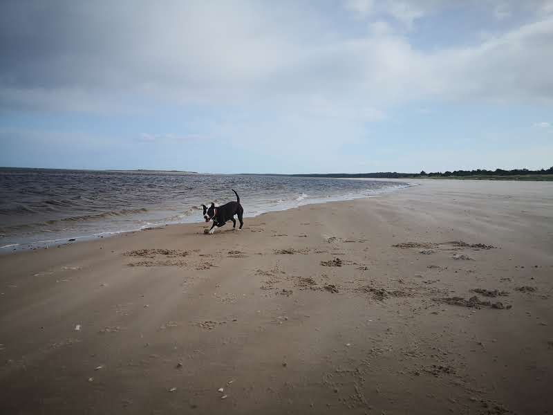 Nairn Dunbar Golf Club golf course photograph 4