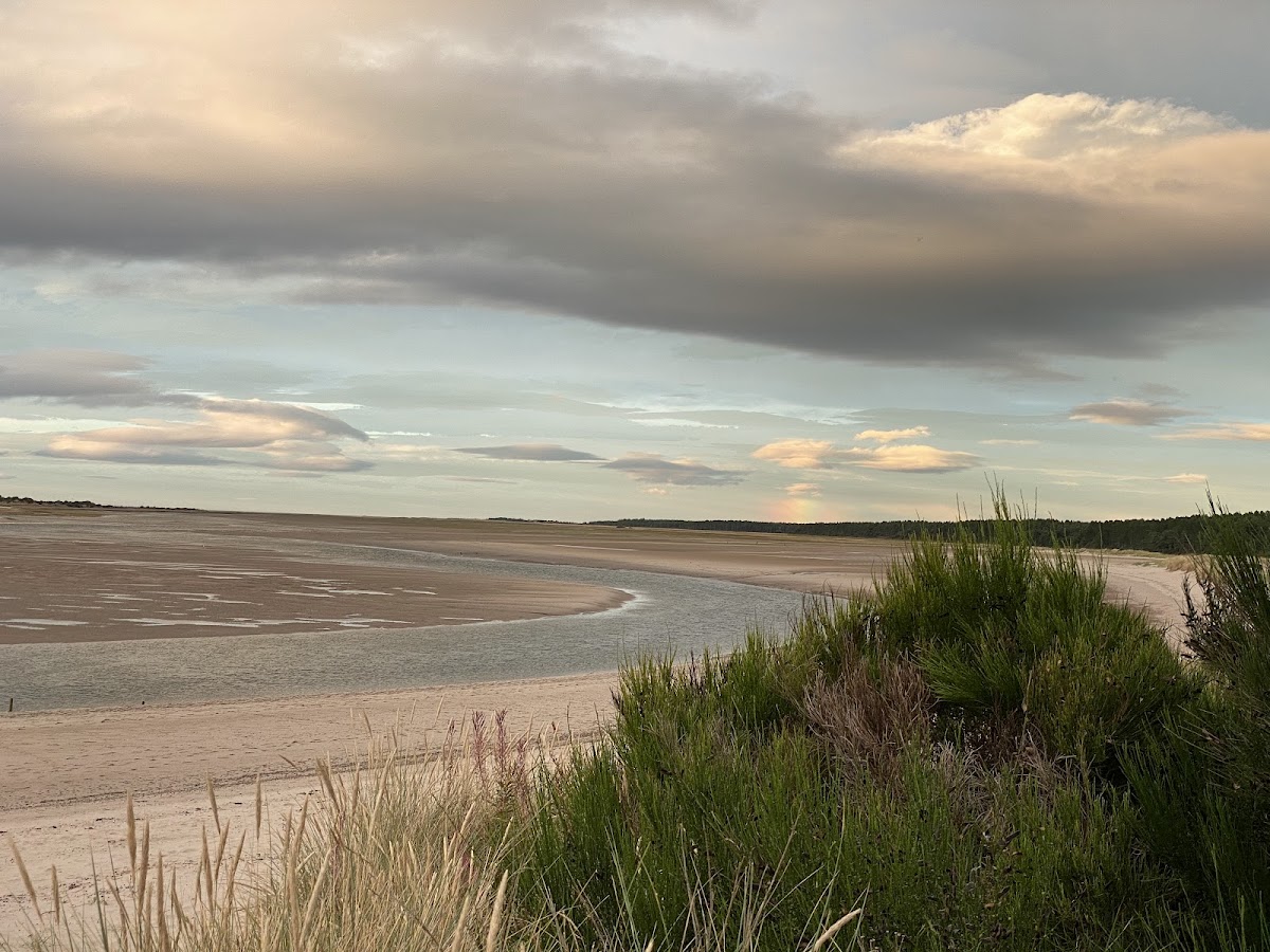 Nairn Dunbar Golf Club golf course in Highlands