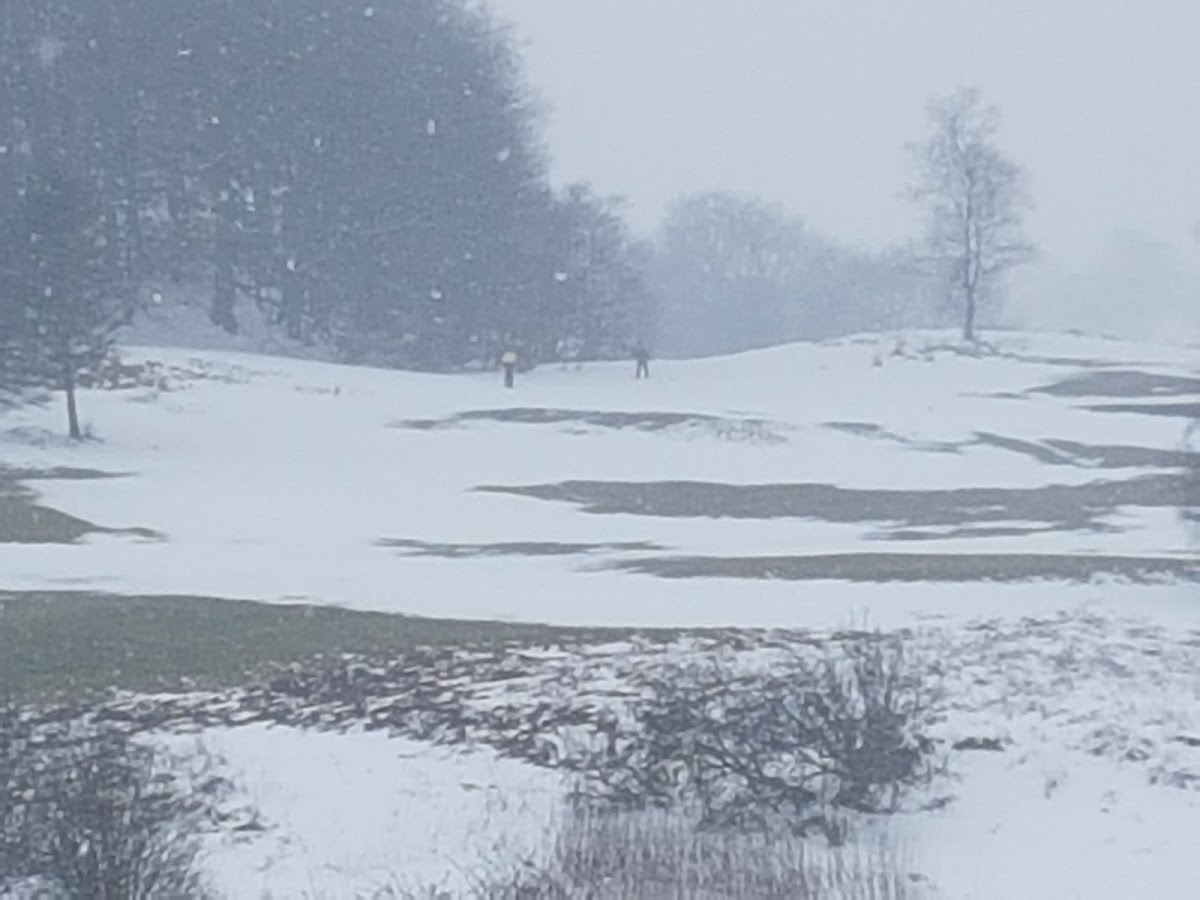 Ranfurly Castle Golf Club golf course photograph 4