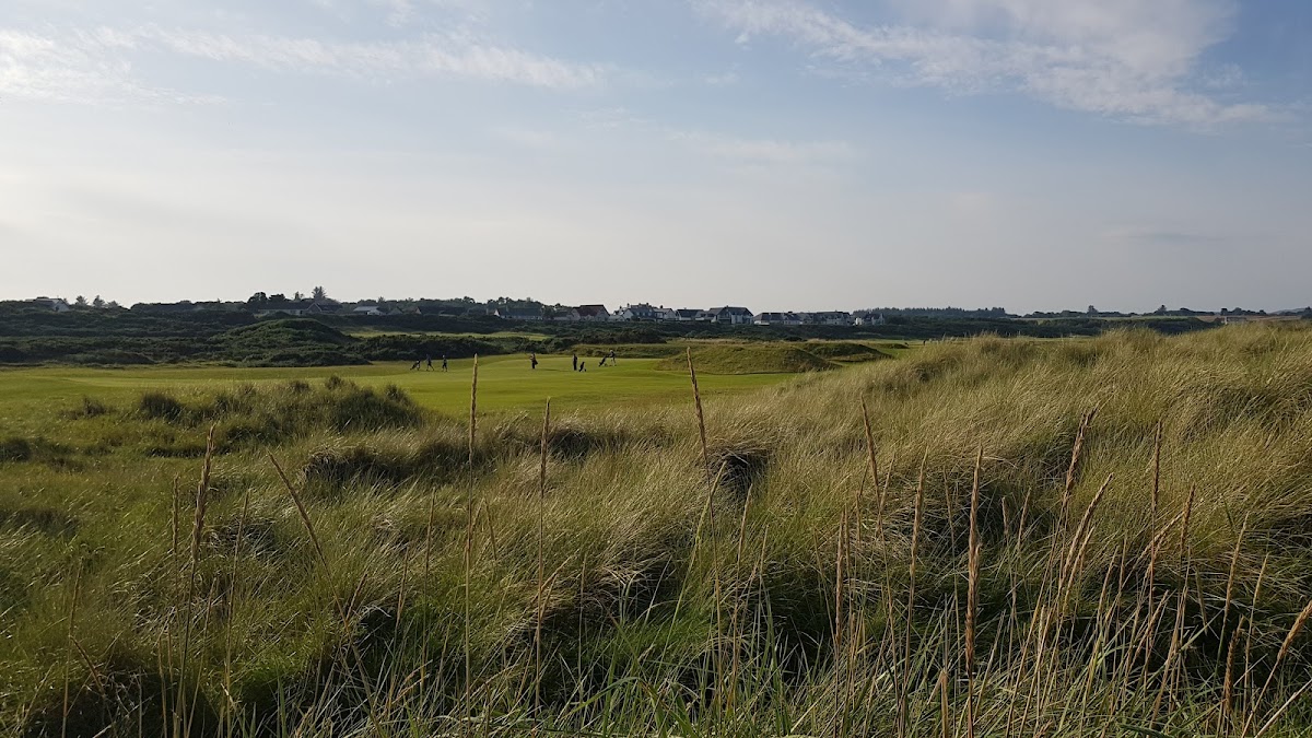 Royal Dornoch (Struie) golf course photograph 5