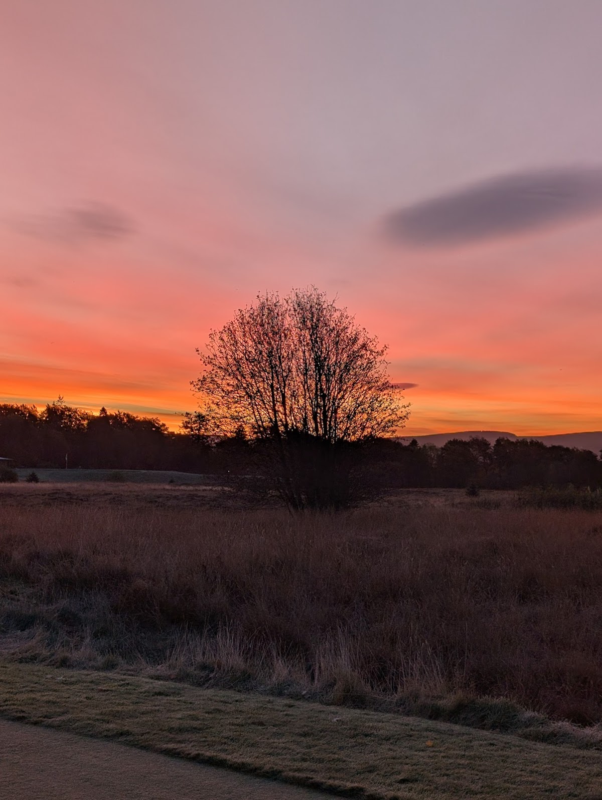 West Linton Golf Club golf course photograph 5